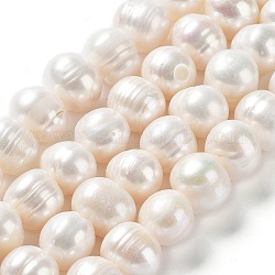 Hebras de perlas de agua dulce cultivadas naturales, patata, grado ab, blanco antiguo, 9.5~13x9.5~11mm, agujero: 0.6 mm, aproximamente 35 pcs / cadena, 14.37'' (36.5 cm)