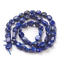 Filo di Perle lapis lazuli naturali , pepite, 6~12x6~8mm, Foro: 0.5 mm, circa 47pcs/filo, 15.7 pollice (40 cm)