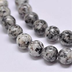 Natürliche Sesam Jaspis / Kiwi Jaspis Perlen Stränge, Runde, Grau, 10 mm, Bohrung: 1 mm, ca. 38 Stk. / Strang, 15.5 Zoll