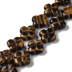 Natural Tiger Eye Beads Strands, Flower, 13~14x13~14x5~5.5mm, Hole: 1.2mm, about 15pcs/strand, 7.95''(20.2cm)