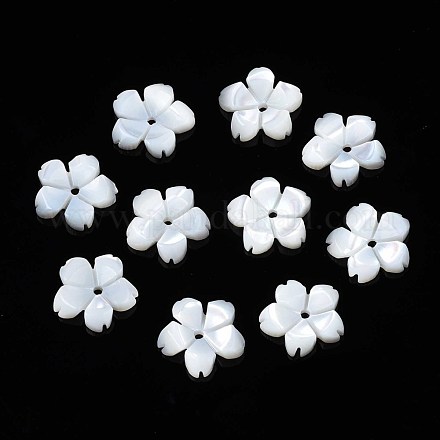 Perles de coquillage blanc naturel SSHEL-S260-057-1