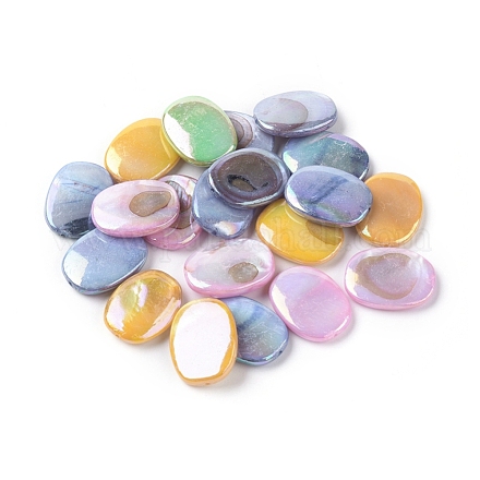 Perles de coquillages d'eau douce naturelles plaquées couleur ab X-SHEL-S253-10-1
