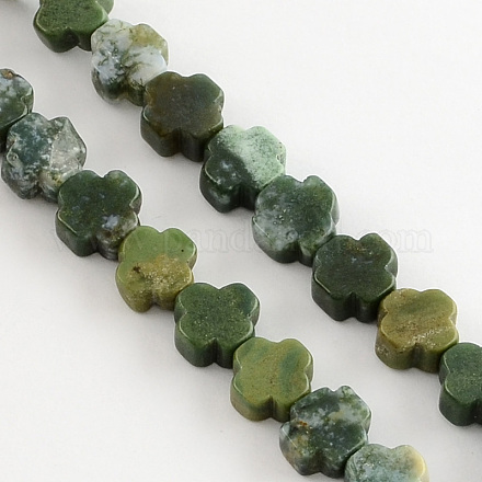Natural Indian Agate Stone Beads Strands G-R182-05-1