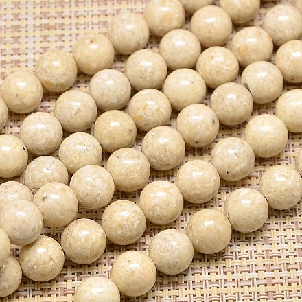 Natural Fossil Round Beads Strands G-I108-10mm-1