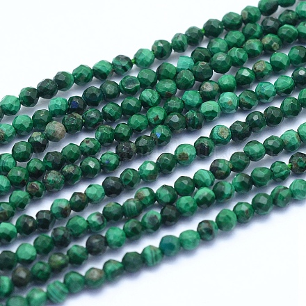 Chapelets de perles en malachite naturelle G-I279-E15-01-1