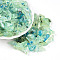 Transparent Acrylic Beads, Nuggets, Two Tone, Pale Green, 11~21x7~12x6~8mm, Hole: 2mm, about 30pcs/20g
