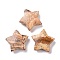 Natural Picture Jasper Beads, No Hole, Star, 24x25x8mm