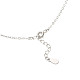925 стерлингового серебра кубического циркония кулон ожерелье NJEW-BB18731-3