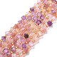Natural Spinel Beads Strands G-P463-21-1