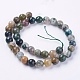 Natural Indian Agate Beads Strands G-G542-10mm-19-2