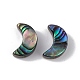 Perle di conchiglia abalone naturale / conchiglia paua SSHEL-M021-05-2
