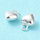 925 Sterling Silver Charms STER-H106-01D-S-3