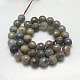 Natural Labradorite Beads Strands G-G213-14mm-03-2