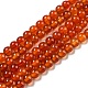 Chapelets de perles en cornaline naturelle G-S281-50C-3mm-1