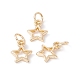 Rack Plating Alloy Charms FIND-G036-01LG-3