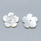Perles de coquillage blanc naturel SSHEL-S260-055-2