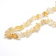 Chapelets de perles de citrine naturelle G-O049-C-42-3