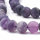 Natural Fluorite Beads Strands X-G-T106-219-2