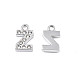 304 Stainless Steel Charms STAS-N095-137Z-2