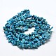 Chips Synthetic Turquoise Beads Strands G-N0134-04-3
