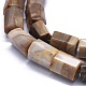Naturali pietrificate perline di legno fili G-K293-J02-E-3