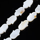 Natural Freshwater Shell Beads Strands SHEL-S278-02-A01-1
