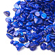 Perles de coquille SHEL-R020-10-1