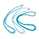 天然なHowliteグラデーションビーズのネックレス  染め＆加熱  真鍮スプリングリングの留め金と  ミックスカラー  25.5~27.7インチ（65~70.5cm） NJEW-F263-01-1