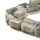 Natural Labradorite Beads Strands G-N327-06-06-4