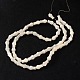 Natural White Shell Beads Strands SSHEL-D058A-2