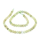 Chapelets de perles en préhnite naturelle G-O201A-06E-2