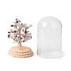 Natural Fluorite Chips Money Tree in Dome Glass Bell Jars with Wood Base Display Decorations DJEW-B007-04D-2