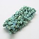 Chip Synthetic Turquoise Beads Stretch Bracelets BJEW-F226-06-2