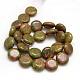 Natural Gemstone Unakite Beads Strands G-L160-01-3