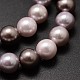 Cuentas perlas de concha de perla BSHE-L017-04-3