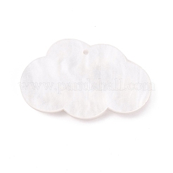 Opake Acryl Anhänger&nbsp;KY-M003-17