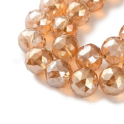 Trasparenti perle di vetro placca fili&nbsp;EGLA-N002-34H-F01