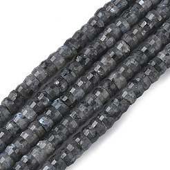 Stränge natürlicher Larvikit-Heishi-Perlen&nbsp;G-A299-A04-01