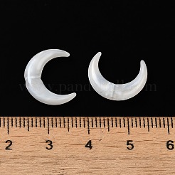 Perles acryliques&nbsp;OACR-H042-06B