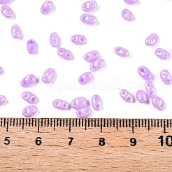 Undurchsichtige Farben Glanz Glas Saatperlen&nbsp;SEED-T006-02D