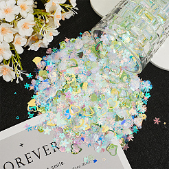 Perline di paillettes di plastica da 100 g&nbsp;PVC-CP0001-01C