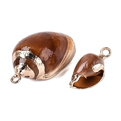 Pendentifs en spirale naturelle galvanoplastie&nbsp;SSHEL-Q100-45G