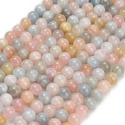 Naturperlen Stränge morganite&nbsp;GG-G476-8mm-01