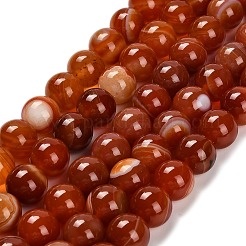 Chapelets de perle en agate naturelle teinte&nbsp;G-G203-10L-12mm