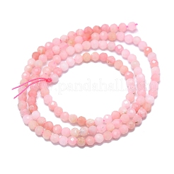 Natürliche rosa Opalkorne Stränge&nbsp;G-G106-C04-02