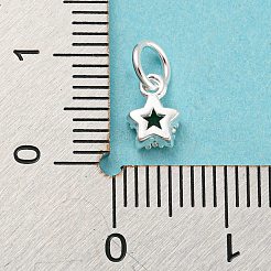 925 Sterling Silber Geburtsstein Charms&nbsp;STER-G035-01C-02