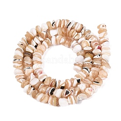 Fili di perline di conchiglia trochus naturale&nbsp;SSHEL-ZX008-01