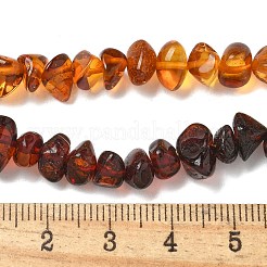 Farbverlauf Naturbernstein Perlenstränge&nbsp;G-K387-F01-01