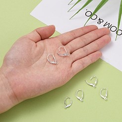 Risultati degli orecchini a cerchio in argento sterling&nbsp;X-STER-A002-236