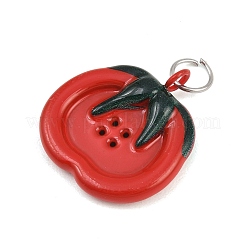 Pendentifs en acier inoxydable 304 émaillé&nbsp;SA-CBAE390-01D